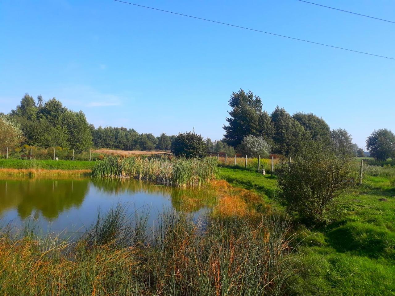 Agroturystyka Uniejów Exterior foto